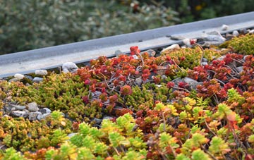 the cost of Leamonsley green roof installation