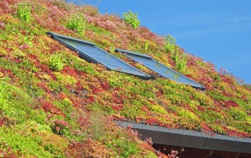 Leamonsley living roof systems