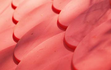 Leamonsley plastic roof costs