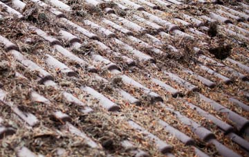 Leamonsley roof cleaning companies