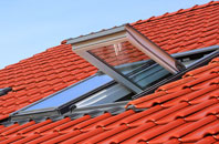 Leamonsley roof window