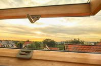 rated Leamonsley roof window companies
